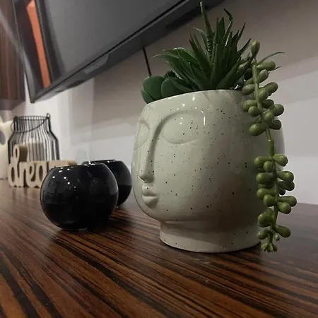 Apartment Garsoniera Relax Drumul Taberei Bukarest