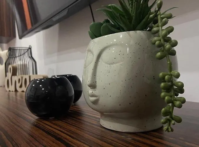 شقة Garsoniera Relax Drumul Taberei بوخارست